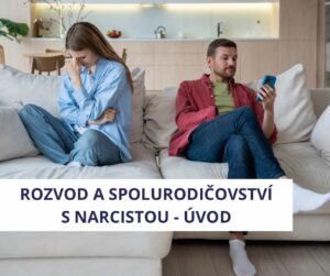 rozvod a spolurodičovství s narcistou